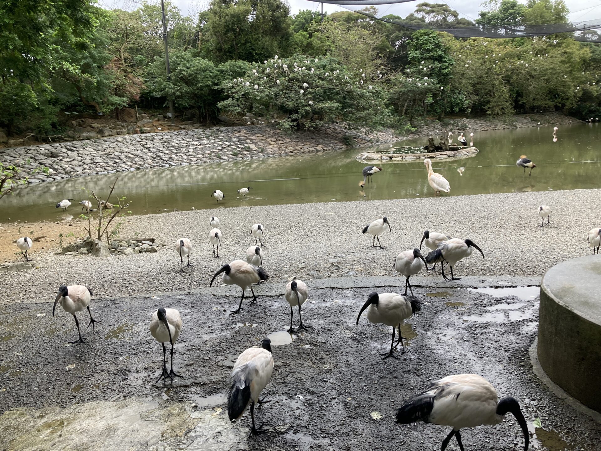 【所要時間は?】ネオパークオキナワの口コミ・料金・駐車場等を紹介 わくわく沖縄♪ 沖縄子連れ旅行ブログ